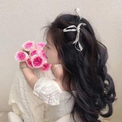 新教宗